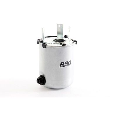 Yakıt Filtresi  Nissan Qashqai (J11E)(2013->)  BSG 75-130-019