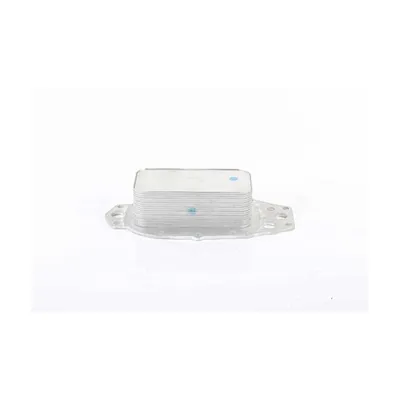 Motor Yağ Soğutucu  Citroen C6 (09.2005->)  BSG 15-506-037