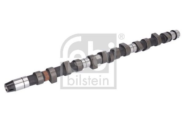Eksantrik Mili  FEBI BILSTEIN 05519