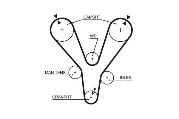 Triger Kayışı  Hyundai Coupe (GK)(2002->)  GATES 5555XS
