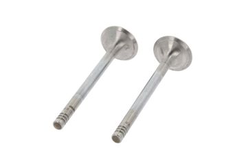 Supap  GÜNEŞ 1676-1677  3S4Q6505AA 1078429 1352129 6172845 6172848 89FF6505AA 89FF6505FA 93FF6505AA XS4Q6505AA