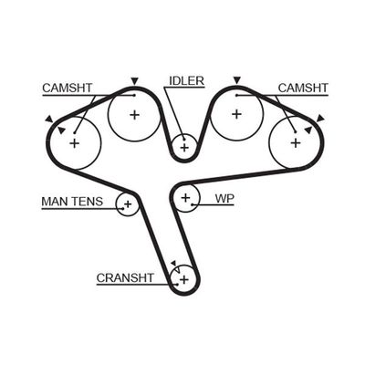 Triger Kayışı  Mitsubishi Galant 4/5 Kapı (E50)(1993->)  GATES 5376XS