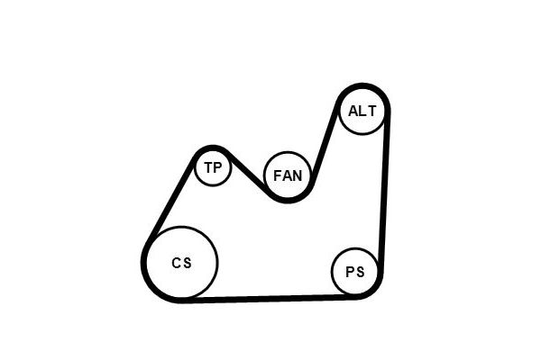 Vantilatör Kayış Seti  CONTINENTAL 5PK1432K1