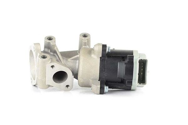 Egr Valfi  Land Rover Discovery (08.2004->)  BSG 15-836-002