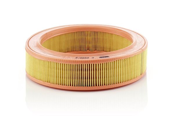 Hava Filtresi  Renault R 19 Chamade 4 Kapı (L53)(06.1989->)  FROW 202.2002.001