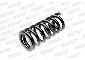 Helezon Yayı Ön BSG 62-305-001  MR150814