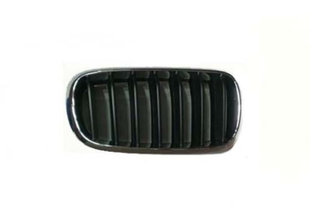 Panjur Ön Sol EUROBUMP BMW09X5043  51137316061