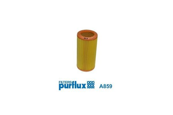 Hava Filtresi  PURFLUX A859
