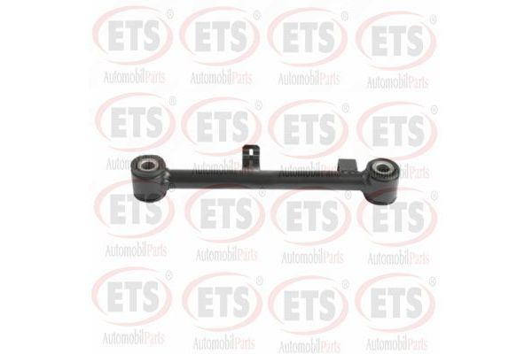 Denge Kolu Arka Sağ veya Sol Hyundai Sonata (NF)(2005->)  RIW HY9014