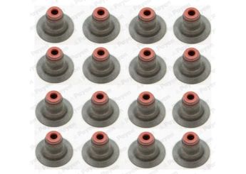 Supap Lastiği  PAYEN HR5087  71739773 24405819 642002