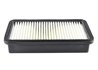 Hava Filtresi  BSG 40-135-014  281131G100