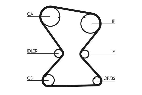 Triger Kayışı  CONTINENTAL CT842
