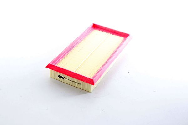 Hava Filtresi  BSG 30-135-034