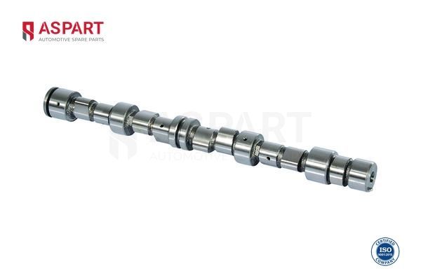 Eksantrik Mili  ASPART 8CAM1080