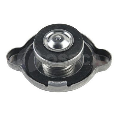 Radyatör Kapağı  HYUNDAI ORJINAL 253304B000