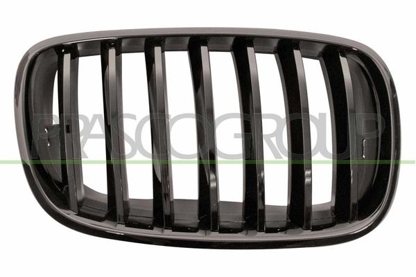 Panjur Ön Sağ BMW X6 M Serisi (E71)(2009->)  EUROBUMP BMW09X5036