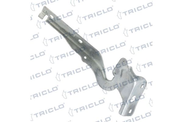 Motor Kaput Menteşesi Sağ BITAPART BPE276027