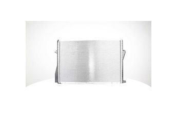 Su Radyatörü  BSG 15-520-018  2S6H8005AB 1436060 1.436.060 1436061 1.436.061 1463061 1.463.061 17111436060 1711.1.436.060 17111436061 1711.1.436.061 17111463061 1711.1.463.061