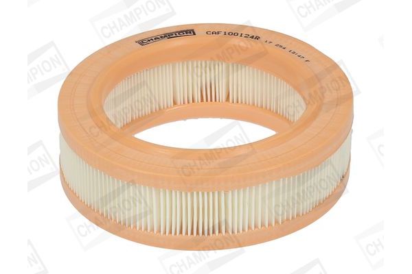 Hava Filtresi  FUJI FH10807