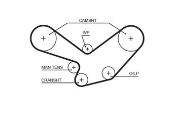 Triger Kayışı  GATES 5098XS  92810515710 92810515730 92810515740 92810515750