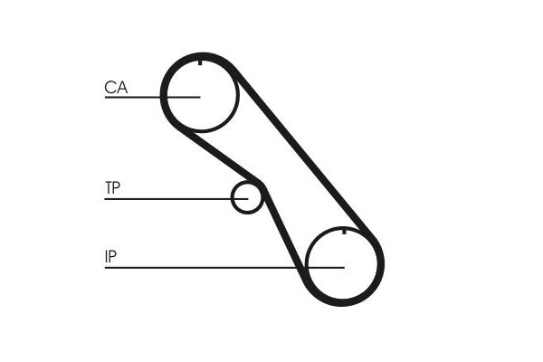 Triger Kayışı  CONTINENTAL CT861