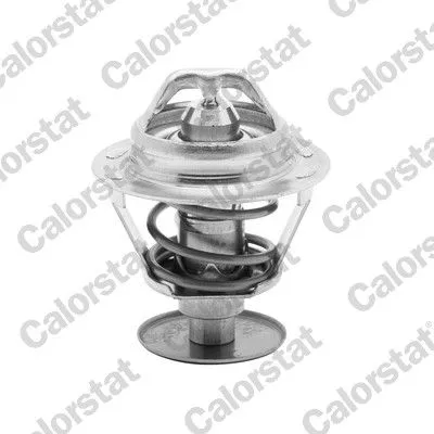 Termostat 89 °C  Citroen Saxo (09.1999->)  CALORSTAT TH1542.89J