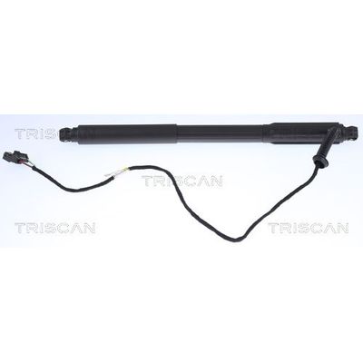 Bagaj Amortisörü Sol BMW X5 M Serisi (E70)(2009->)  ASPART 7GSP1162