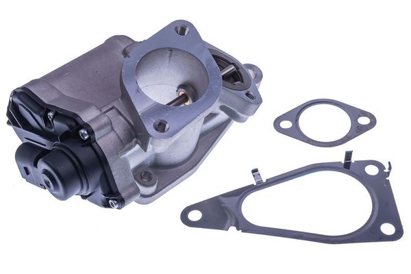 Egr Valfi  Renault Laguna II (BG0)(03.2001->)  SAGEM 37207