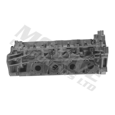 Silindir Kapağı  Renault Master III Kamyonet / Şasi - Çift Kabin (06.2010->)  MOTIVE CYR9003