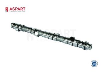 Eksantrik Mili  ASPART 8CAM1088  636198