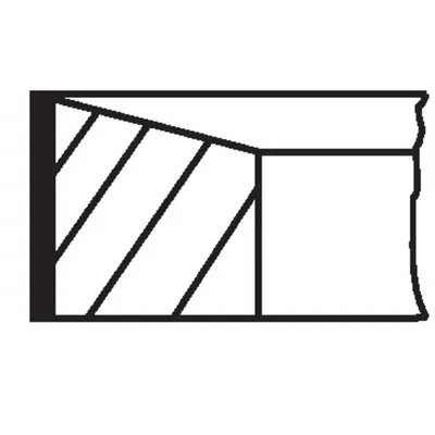 Segman (80.00MM-STD)  MAHLE 021 RS 00119 0N0