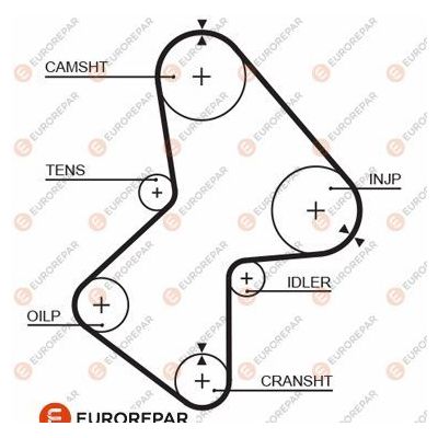 Triger Kayışı  Volvo Serisi 340 (1976->)  EUROREPAR 1633139780