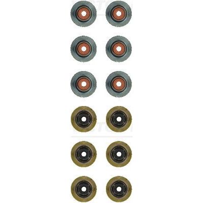 Supap Lastiği  REINZ 12-21042-01