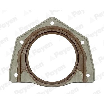 Krank Keçesi Arka PAYEN NF888