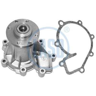 Devirdaim Su Pompası  LASO 20200123