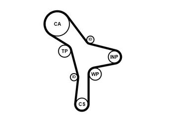 Triger Kayışı  CONTINENTAL CT1176  2431239800 24312-39800 2431239810 24312-39810