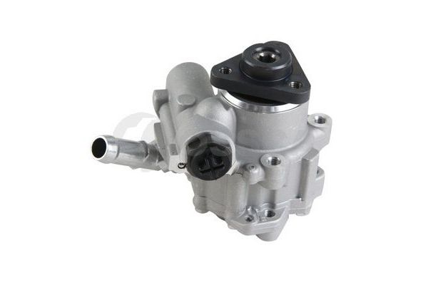 Direksiyon Pompası  FRENDI 13251