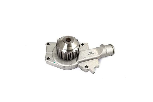 Devirdaim Su Pompası  BSG 30-500-004