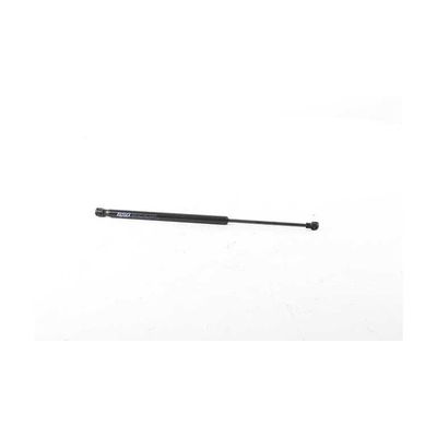 Bagaj Amortisörü Sağ veya Sol Hyundai i10 (PA)(09.2007->)  BSG 40-980-017