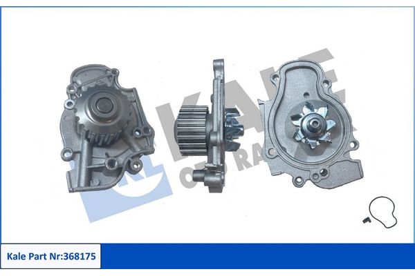 Devirdaim Su Pompası  Honda Accord Coupe (CG2/4)(06.1998->)  KALE 368175
