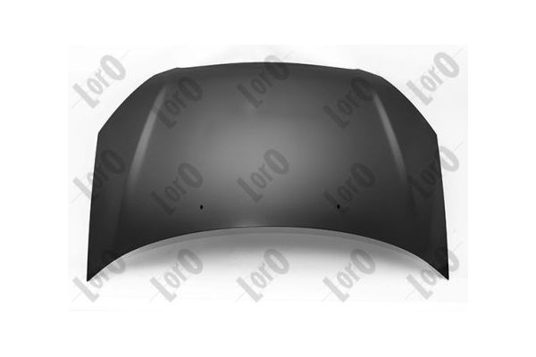 Motor Kaputu  HYUNDAI ORJINAL 664001C510