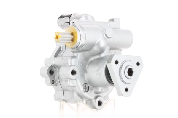 Direksiyon Pompası  Dacia Sandero II (10.2012->)  RENAULT ORJINAL 491101451R