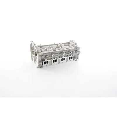 Silindir Kapağı  Renault Koleos (03.2008->)  BSG 75-110-009