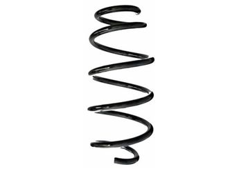 Helezon Yayı Ön SPIDAN GKNW10075  LR092334