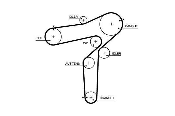 Triger Kayışı  Alfa Romeo Stelvio (630)(2017->)  GATES 5706XS