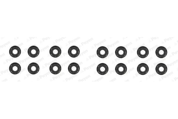 Supap Lastiği  PAYEN HR791