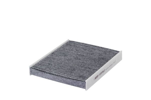 Polen Filtresi  HENGST FILTER E3919LC