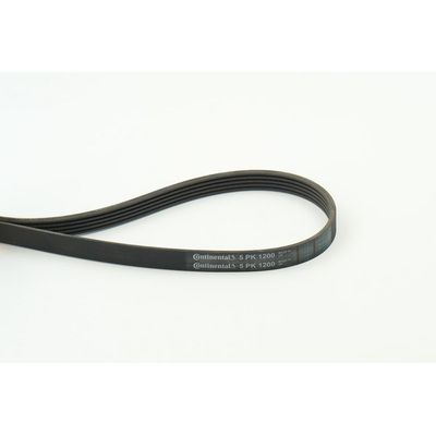 Vantilatör Kayışı  MG Rover Rover 75 Tourer (RJ)(1999->)  CONTINENTAL 5PK1200