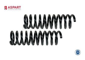 Helezon Yayı Arka ASPART 1CSP1009  A1243241104 1243241104 124 324 1104 124324110467 124 324 1104 67 A 124 324 1104 A124324110467 A 124 324 1104 67