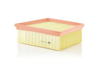 Hava Filtresi  MANN C 22 031  2066235 2066 235 GN159601AA GN15-9601-AA